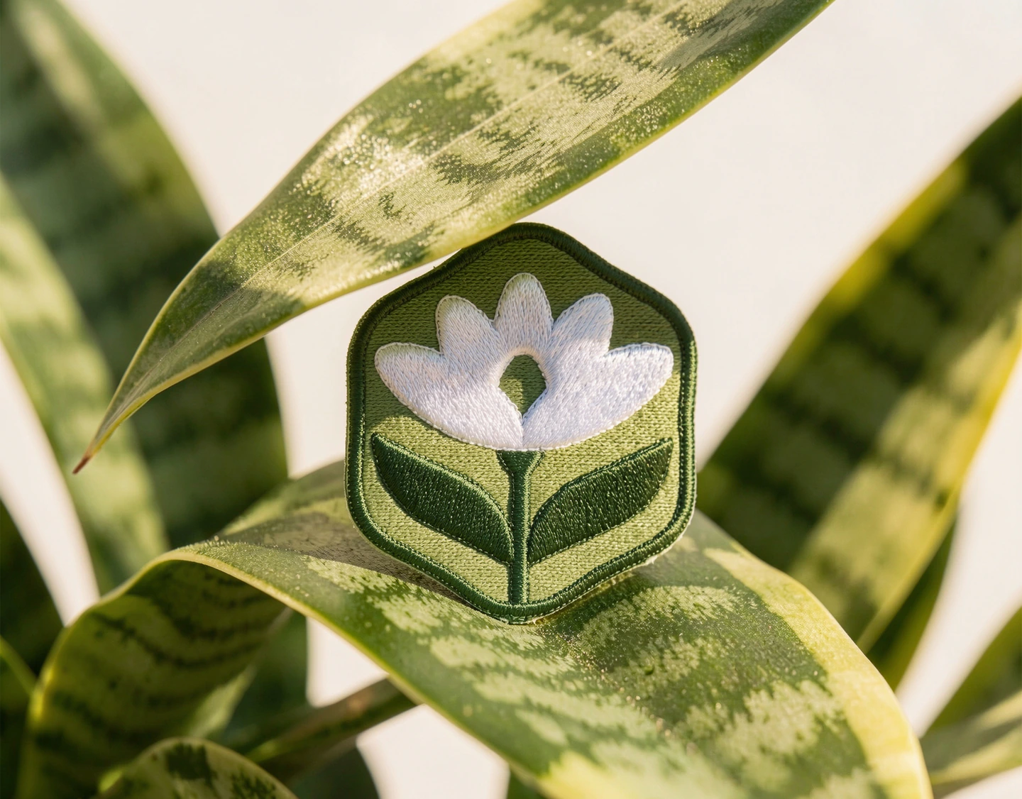 An embroidered Branch & Bloom patch resting on a snake plant