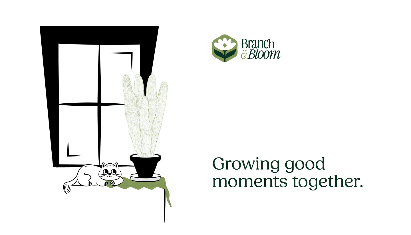 Illustration of a cat by a window plant
