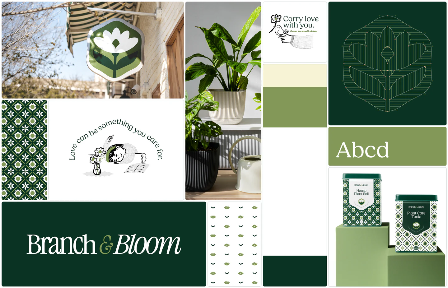 Branch & Bloom identity overview: mark, illustration, palette, type and packaging