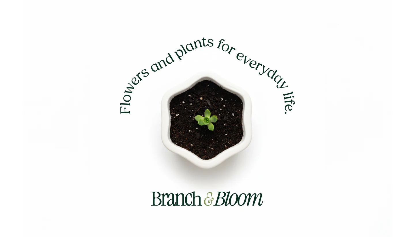 A seedling in a hexagonal pot ringed by the tagline
