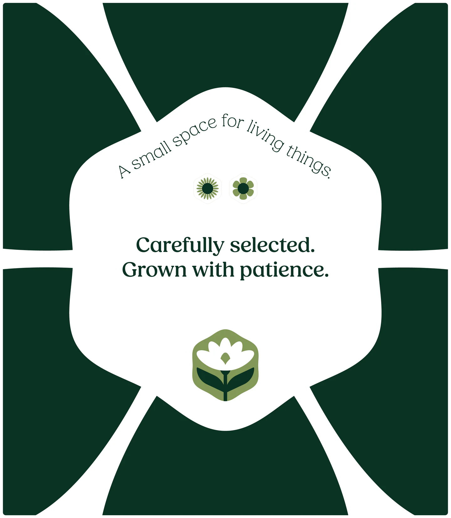 Poster: Carefully selected. Grown with patience.