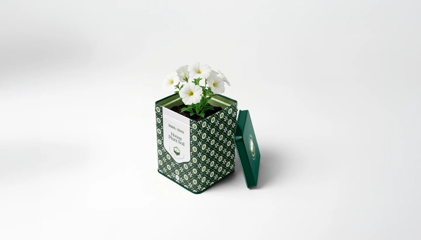 An open tin holding white flowers
