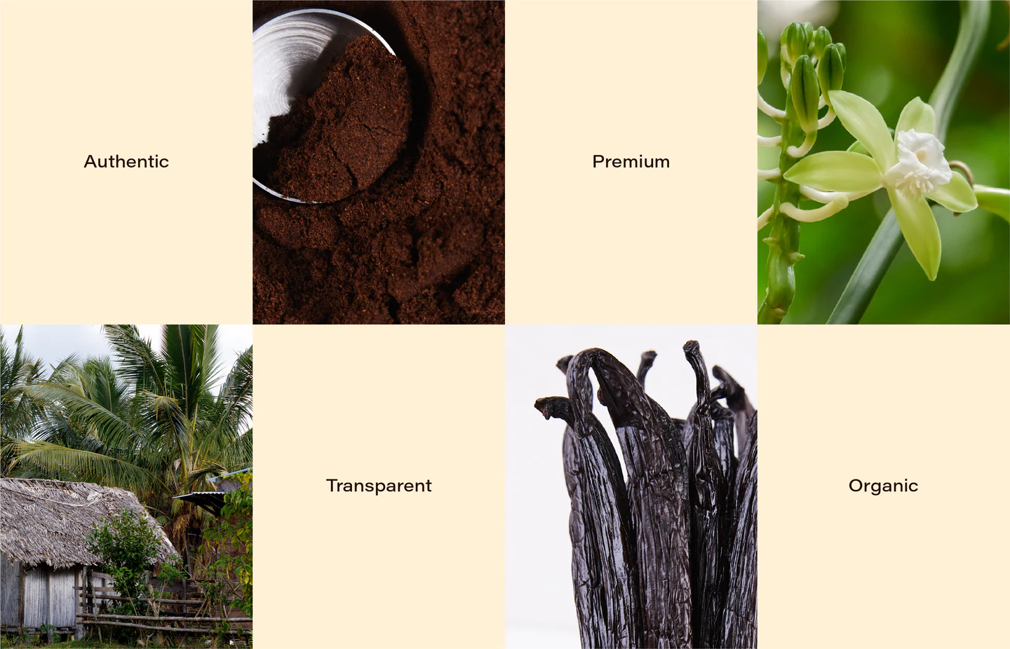 Authentic, Premium, Transparent, Organic, with vanilla imagery