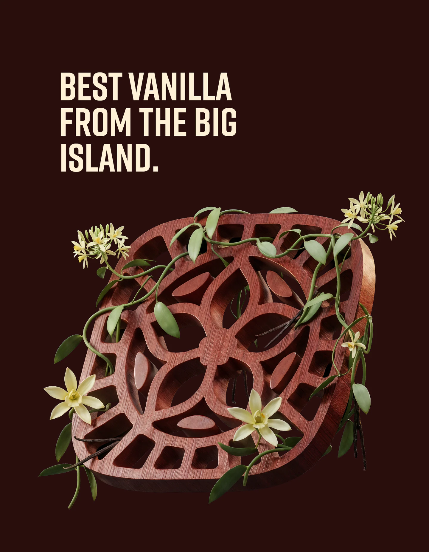 Poster: Best vanilla from the big island