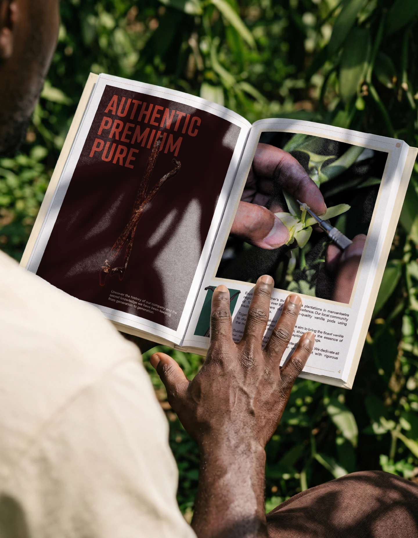 A farmer reading the catalog among the vines