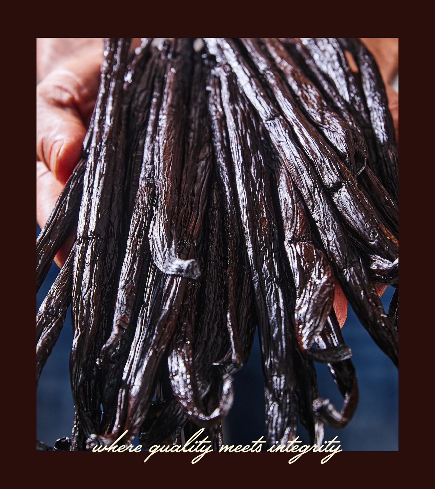Black vanilla pods with the handwritten tagline