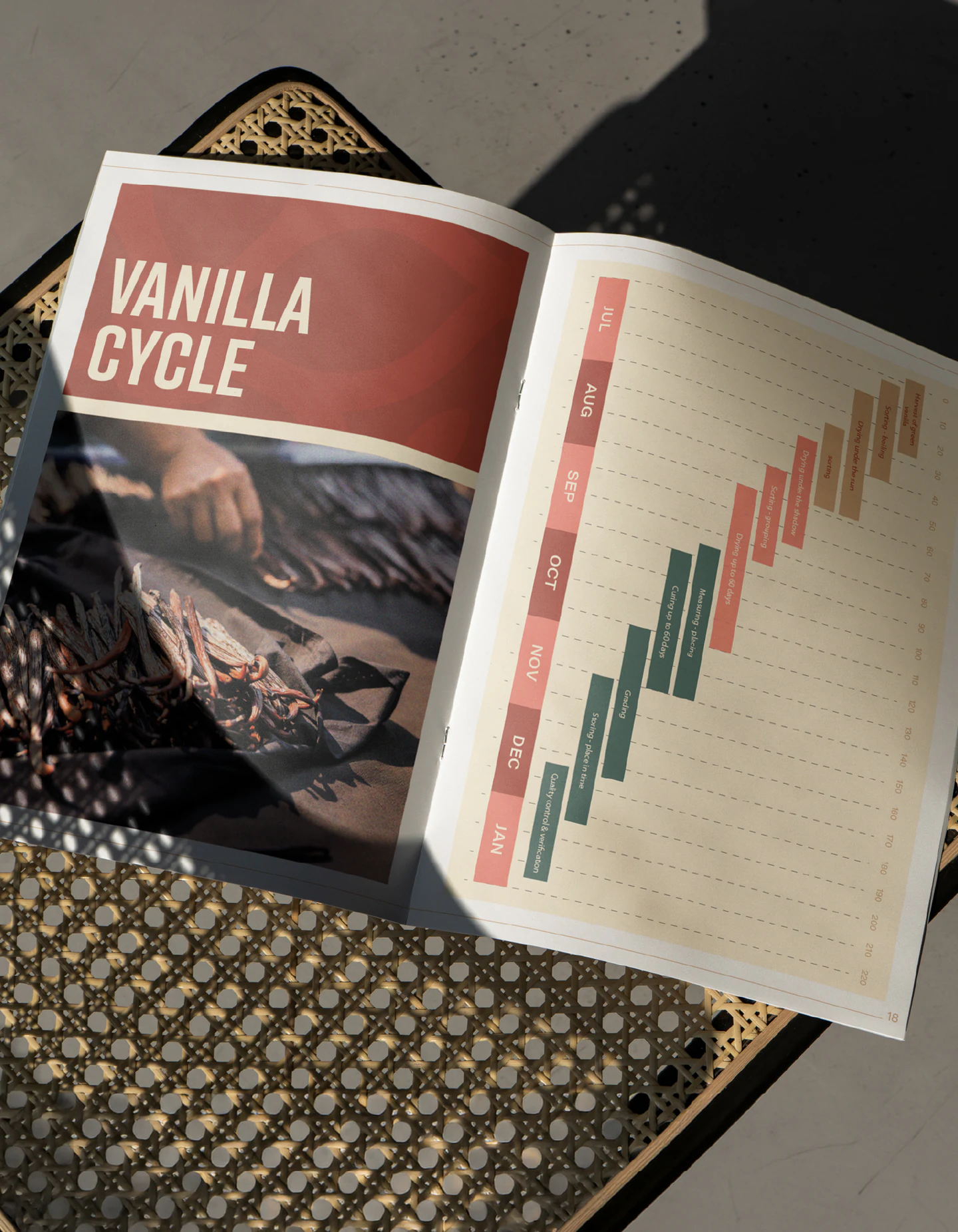A catalog spread on the vanilla cycle